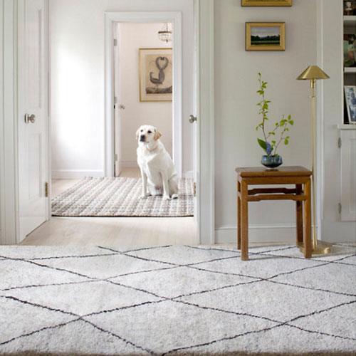 Dash & Albert Numa Charcoal Hand Knotted Rug - Lavender Fields