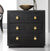 Modern History Mirage Bedside Chest-Black Lacewood