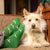 Calcetines que salvan perros
